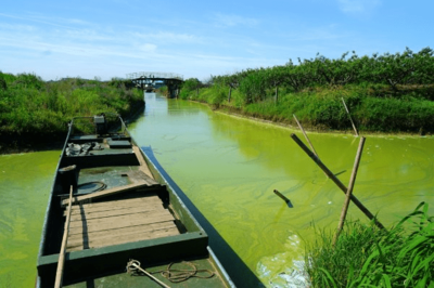 太湖落日，美中不足的遺憾